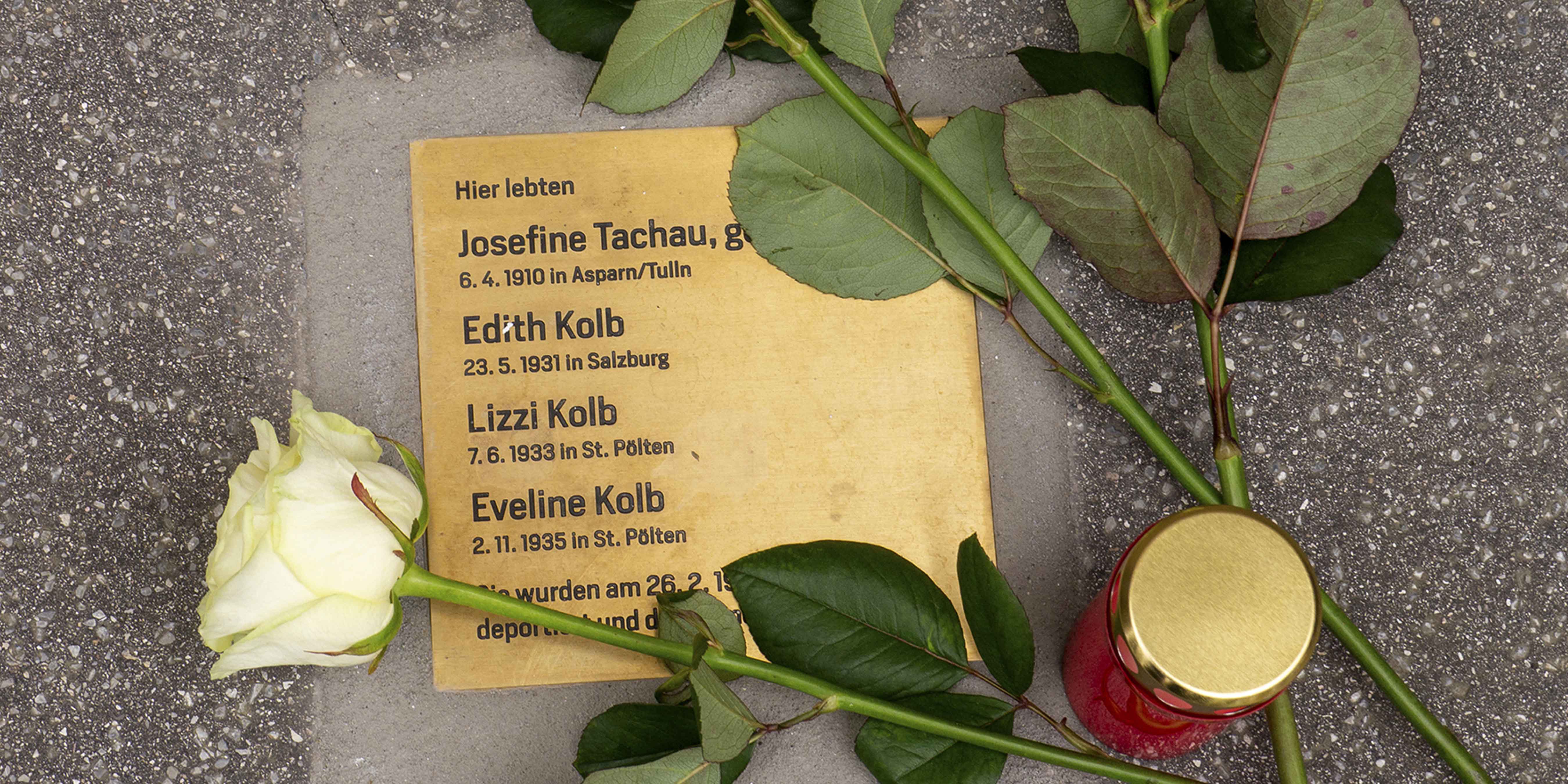 tachau-kolb2 tachau-kolb2