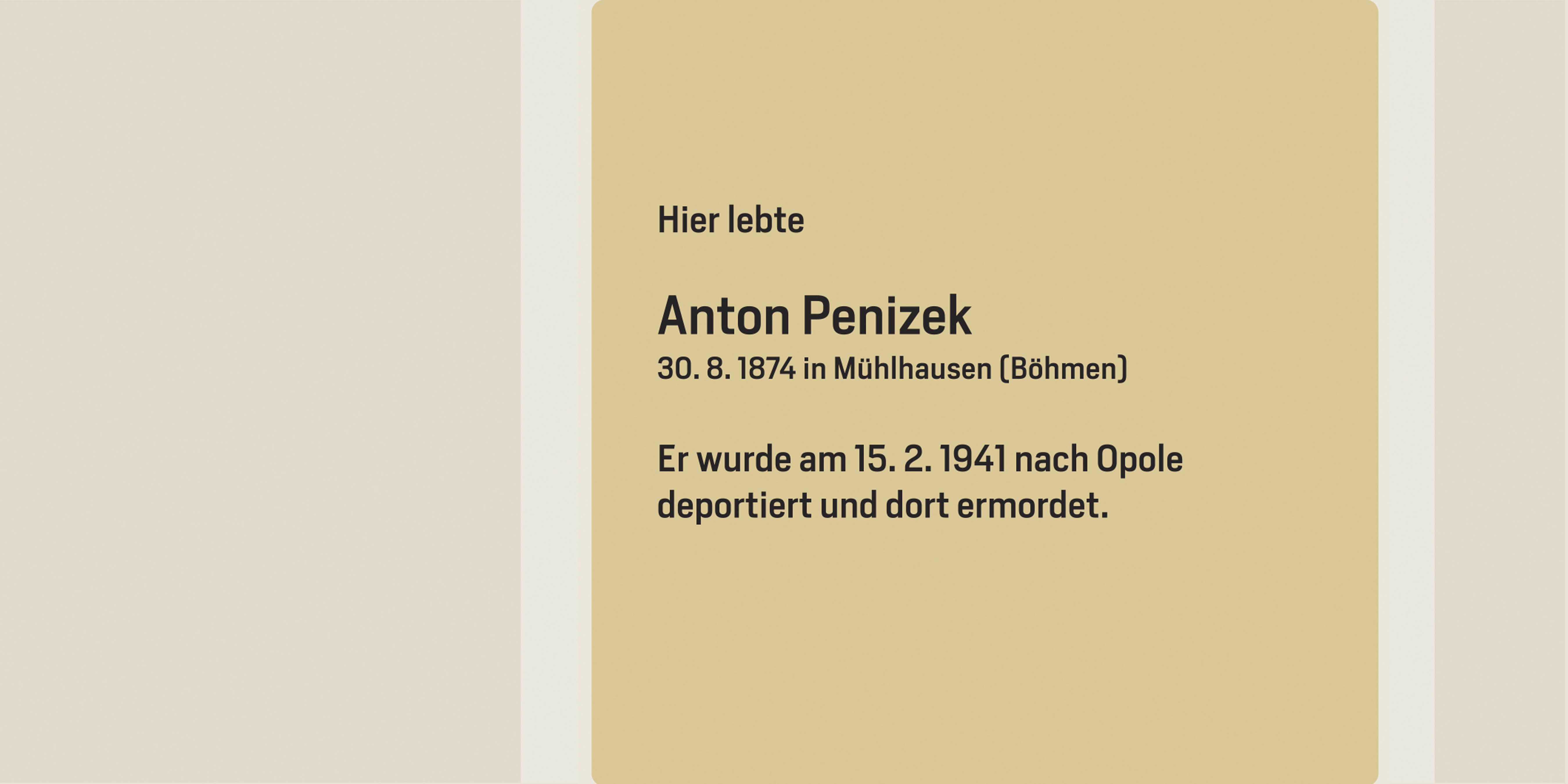 penizek penizek