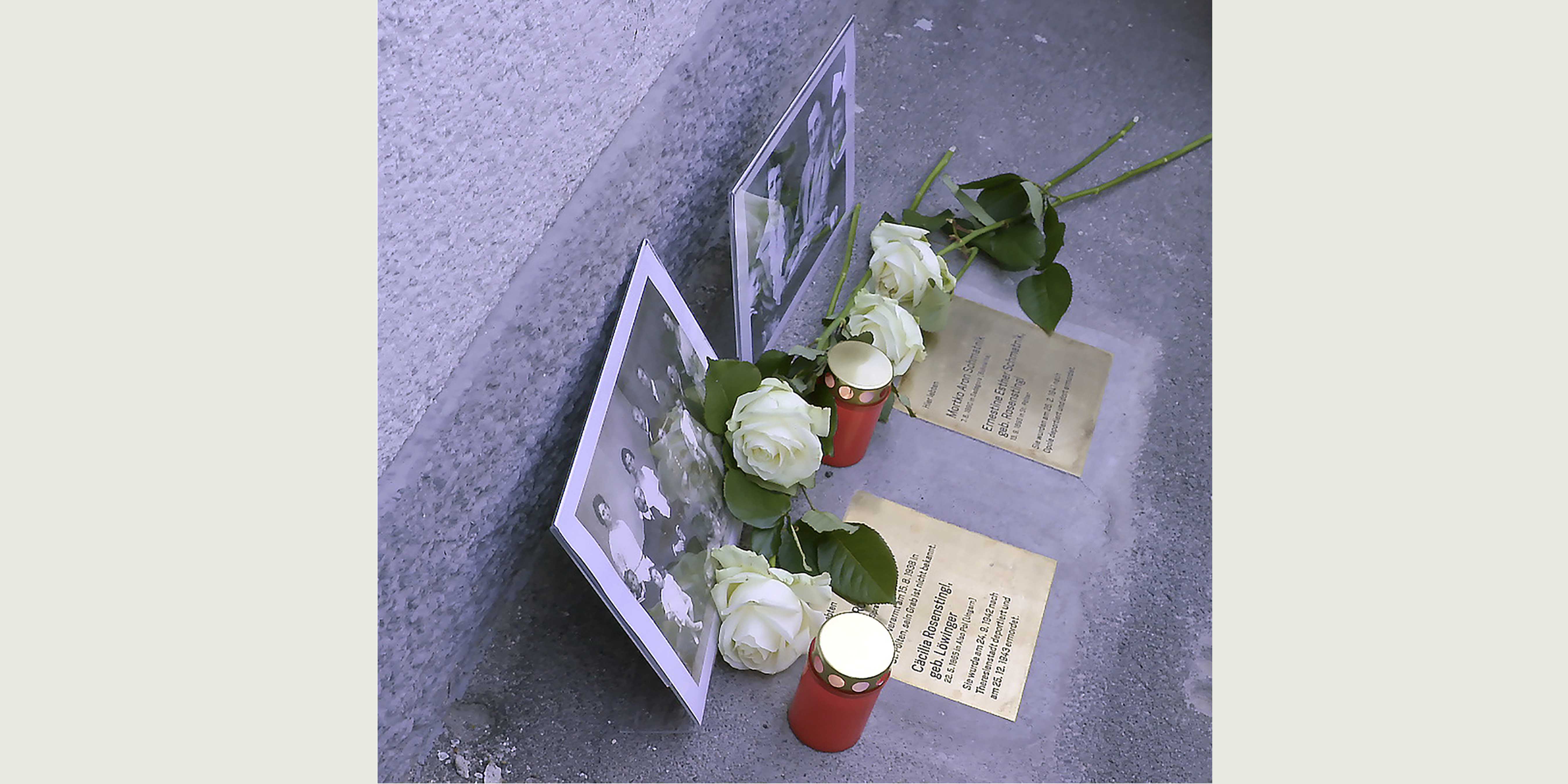 rosenstingl4-kopie rosenstingl4-kopie
