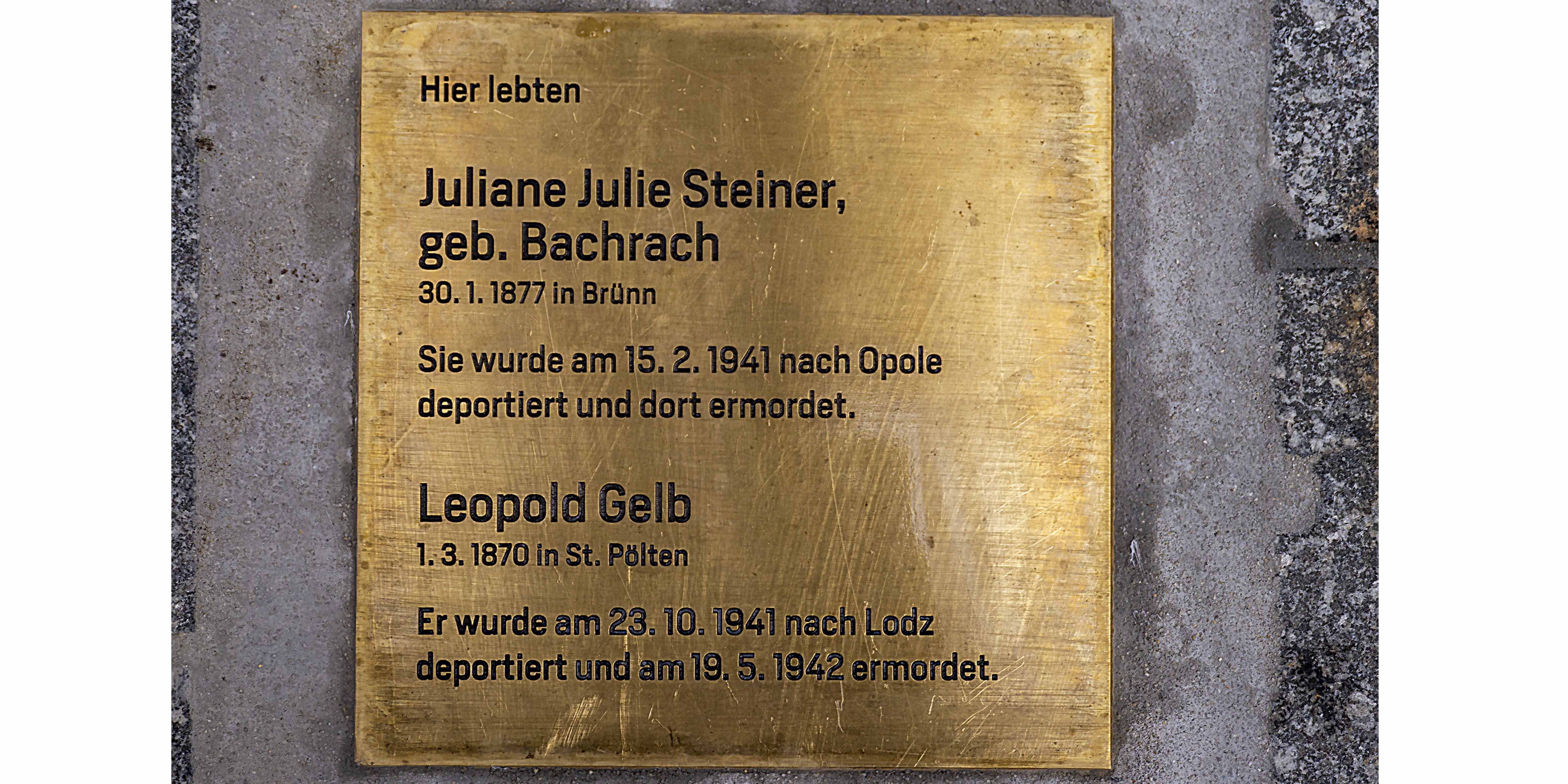 steiner-gelb-2 steiner-gelb-2