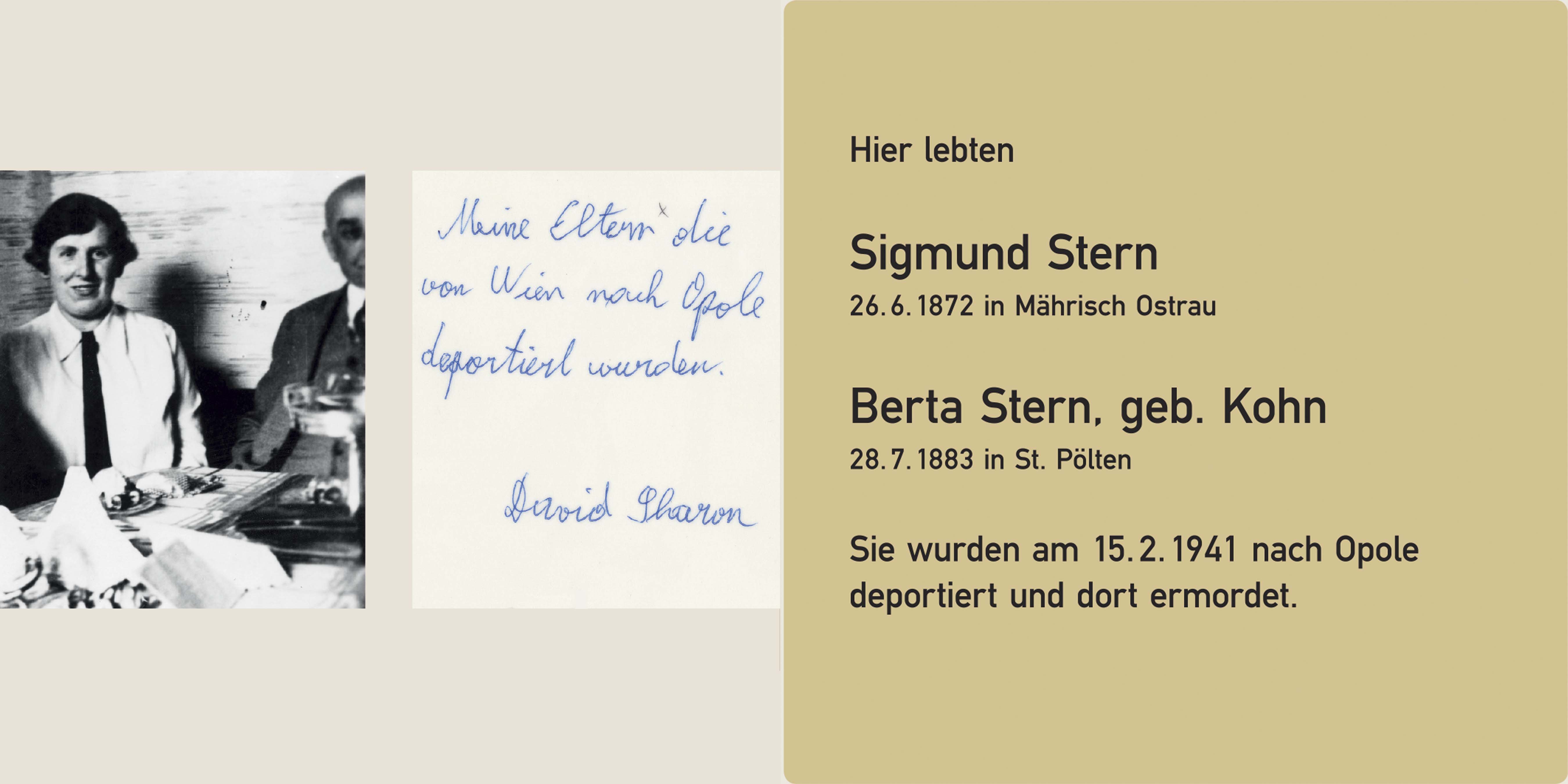 stern2 stern2