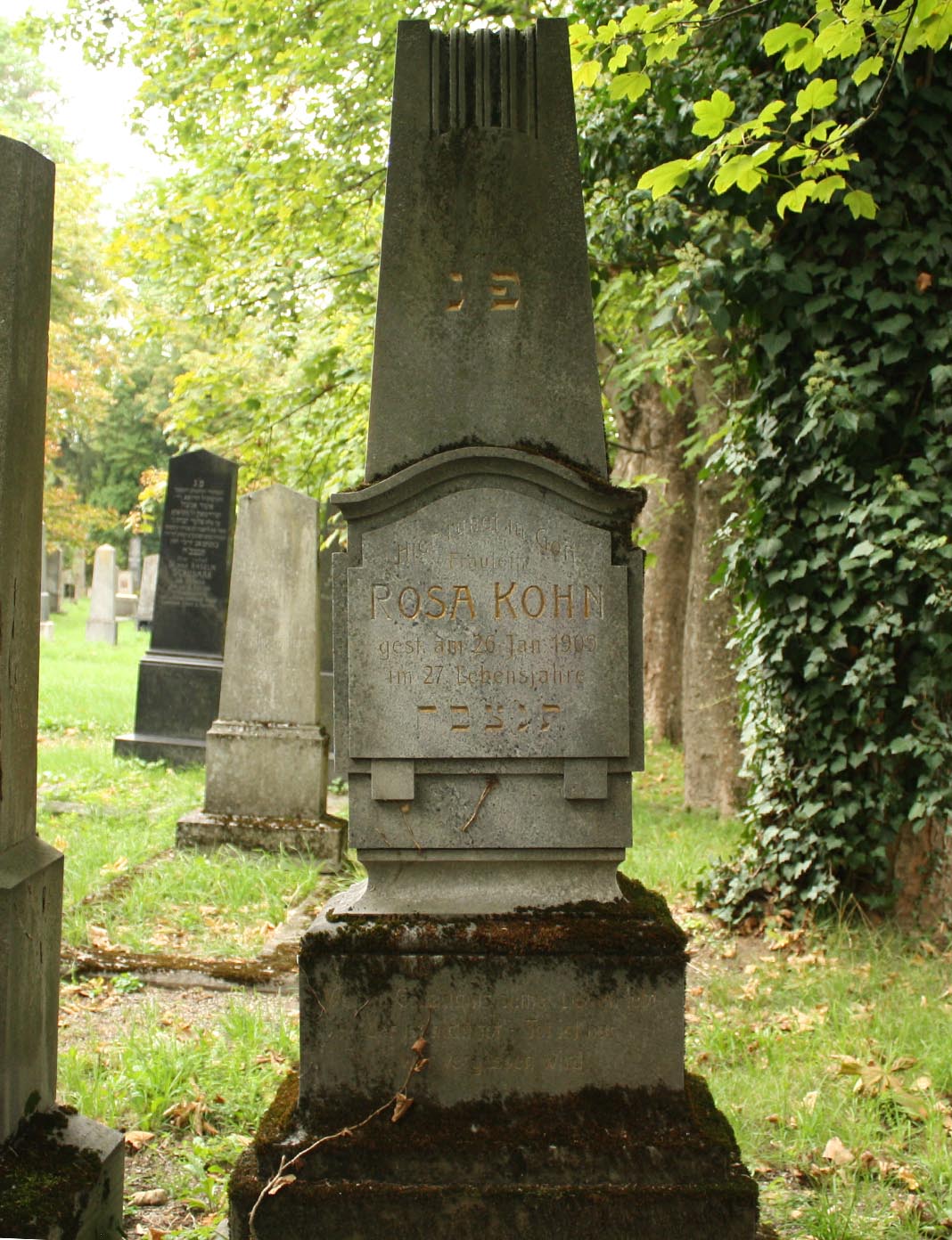 kohnr