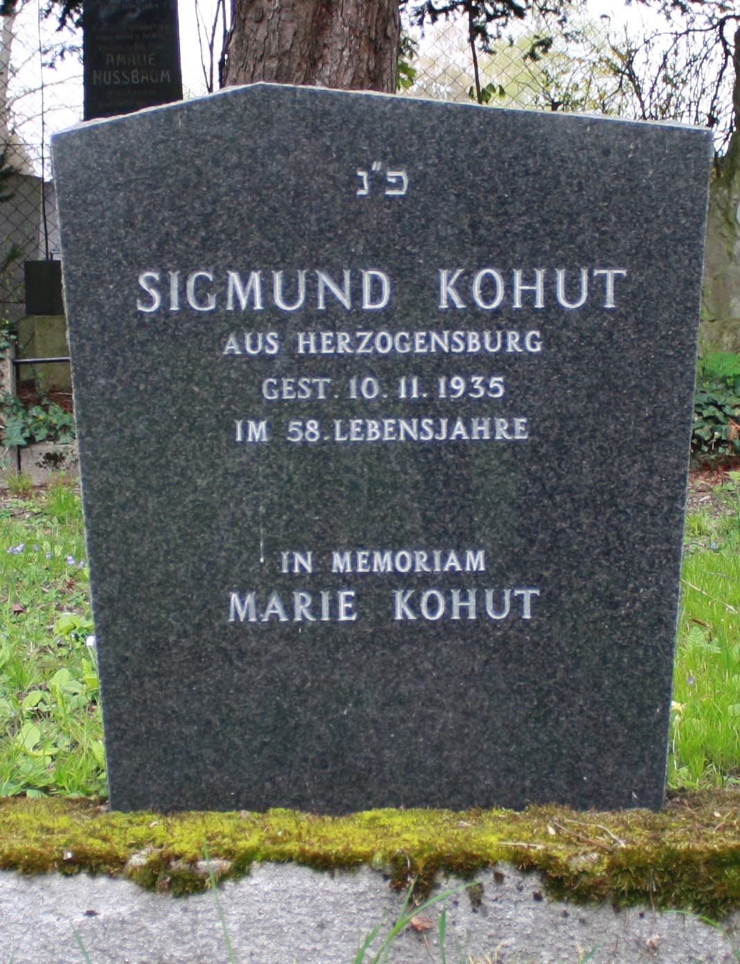 kohuts-1