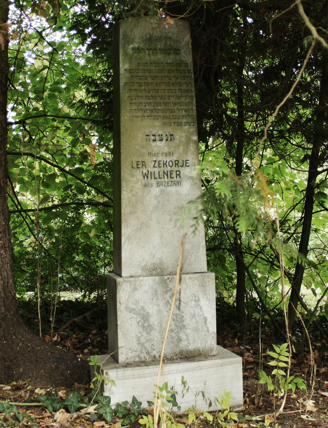 zekorjel
