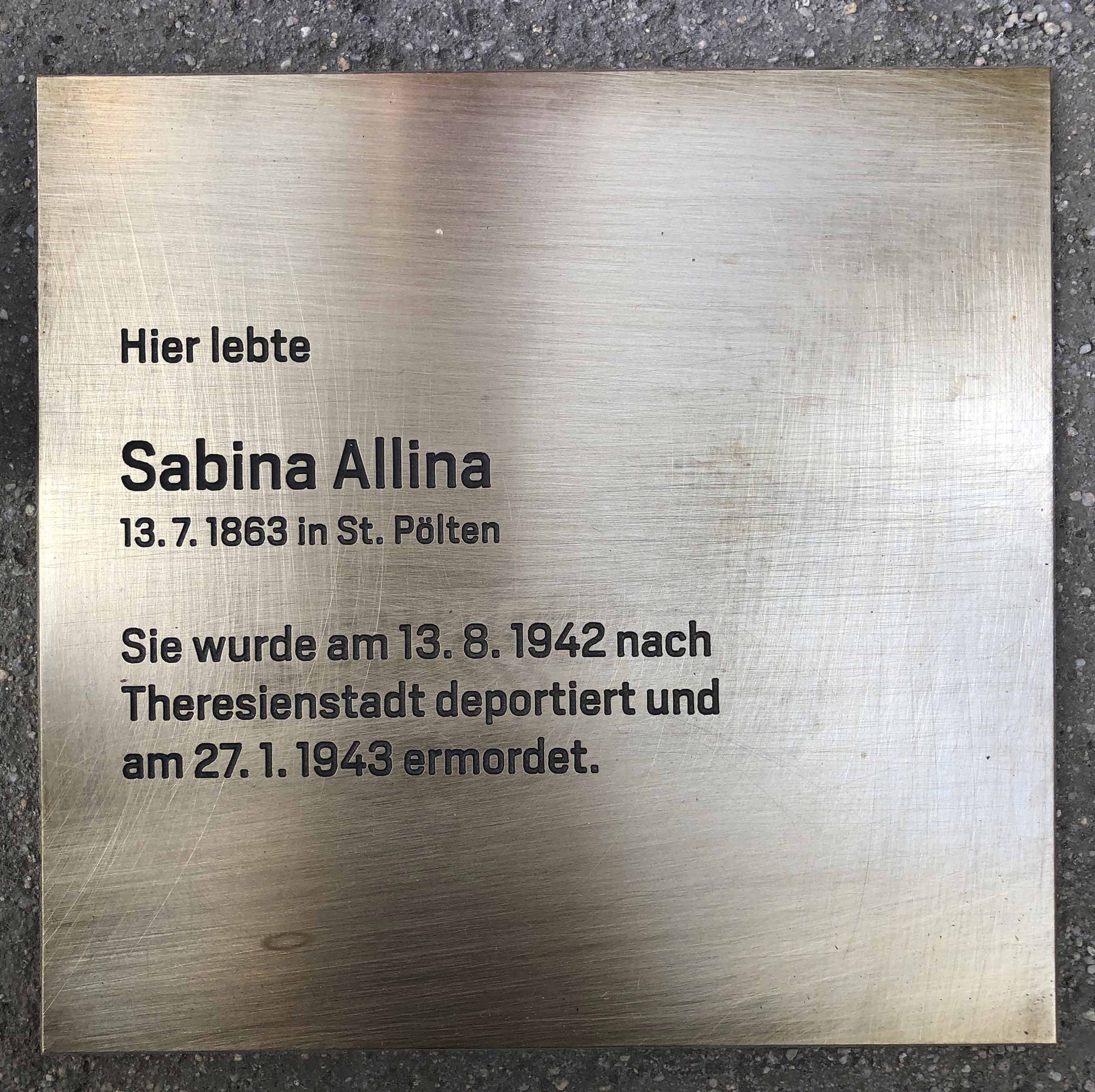 allinasstein allinasstein